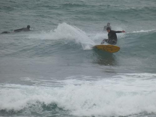 Kapsinluis - 2026 January 09 - by Lou