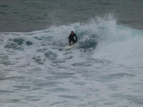 Kapsinluis - 2026 January 09 - by Lou