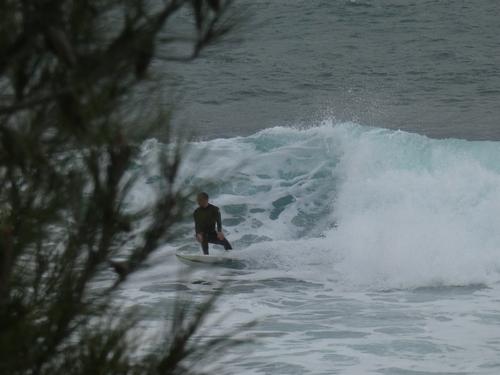 Kapsinluis - 2026 January 09 - by Lou