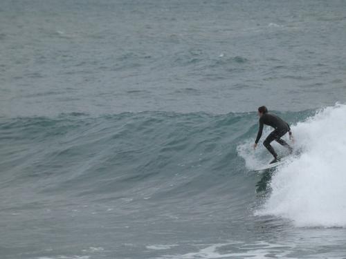 Kapsinluis - 2026 January 09 - by Lou