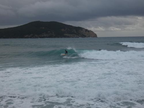 Kapsinluis - 2026 January 09 - by Lou