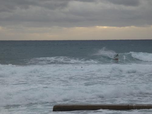 Kapsinluis - 2026 January 09 - by Lou