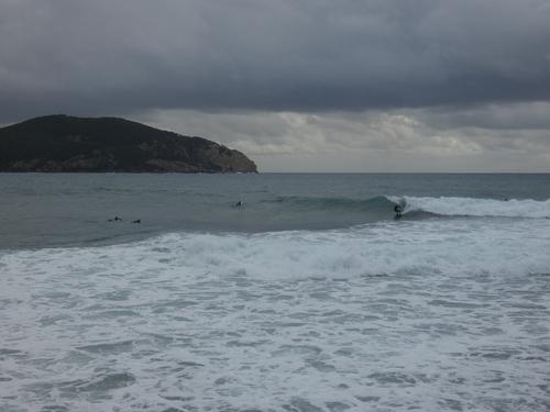 Kapsinluis - 2026 January 09 - by Lou