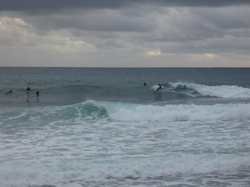 Kapsinluis - 2026 January 09 - by Lou