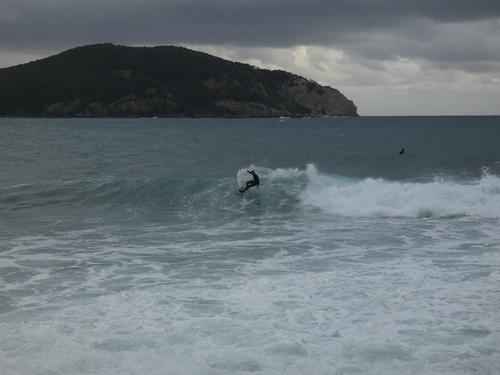 Kapsinluis - 2026 January 09 - by Lou