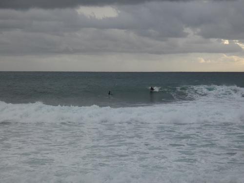 Kapsinluis - 2026 January 09 - by Lou