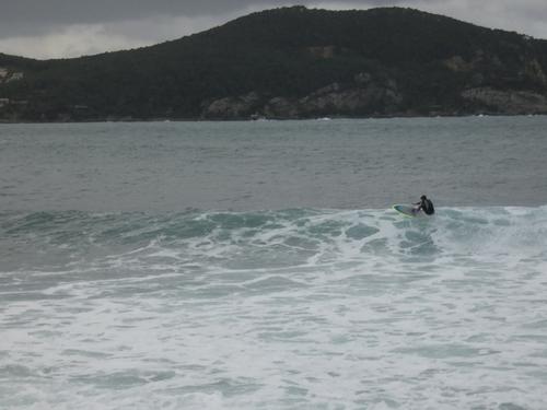 Kapsinluis - 2026 January 09 - by Lou