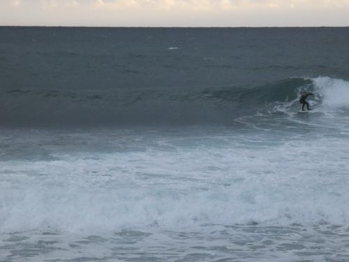 Kapsinluis - 2026 January 09 - by Lou