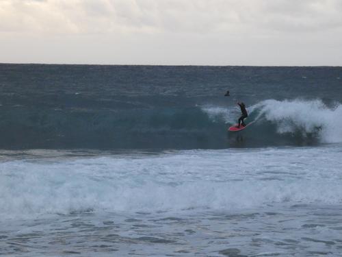 Kapsinluis - 2026 January 09 - by Lou